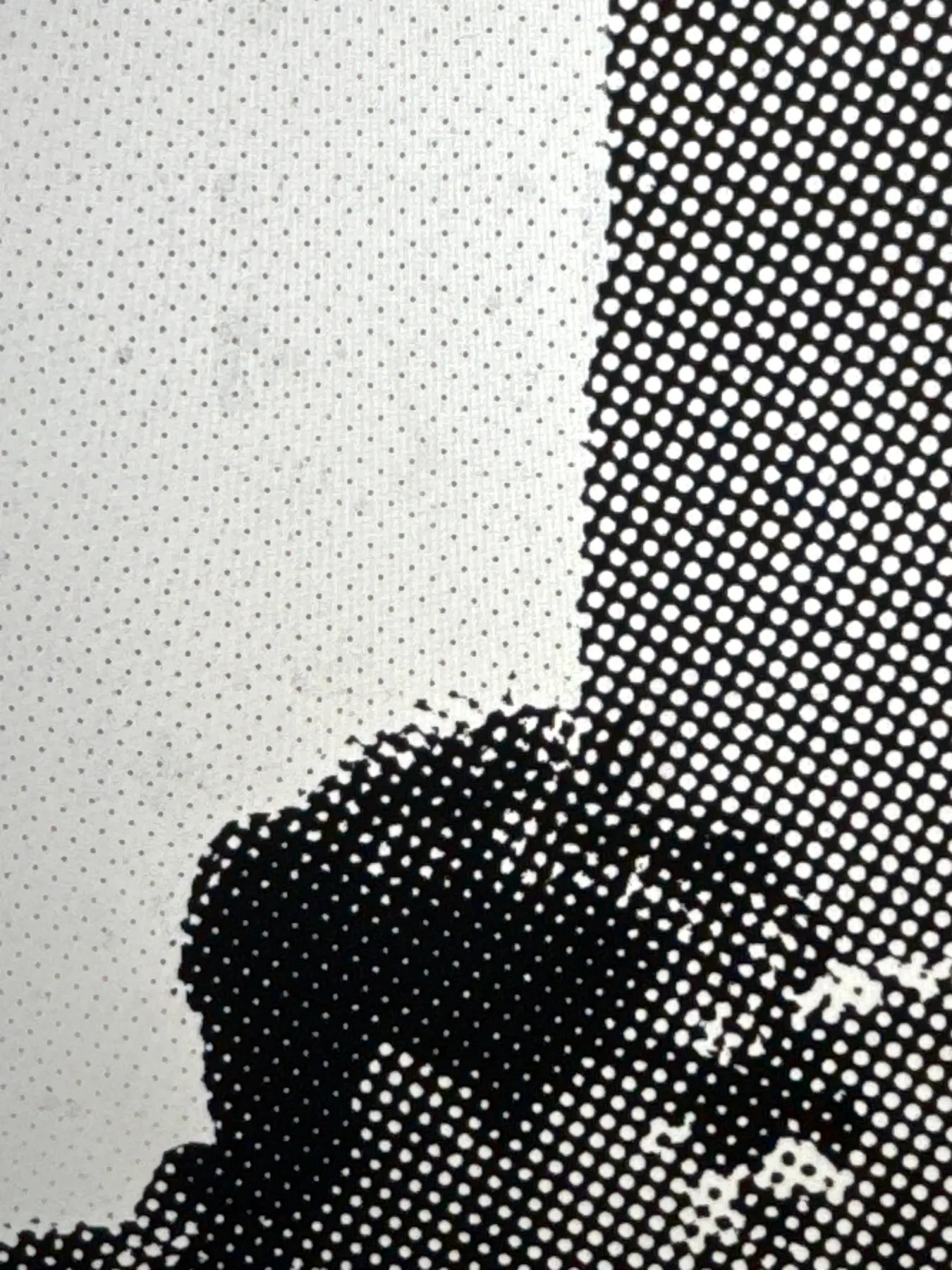 Close-up of coarse and fine halftone dots in black ink